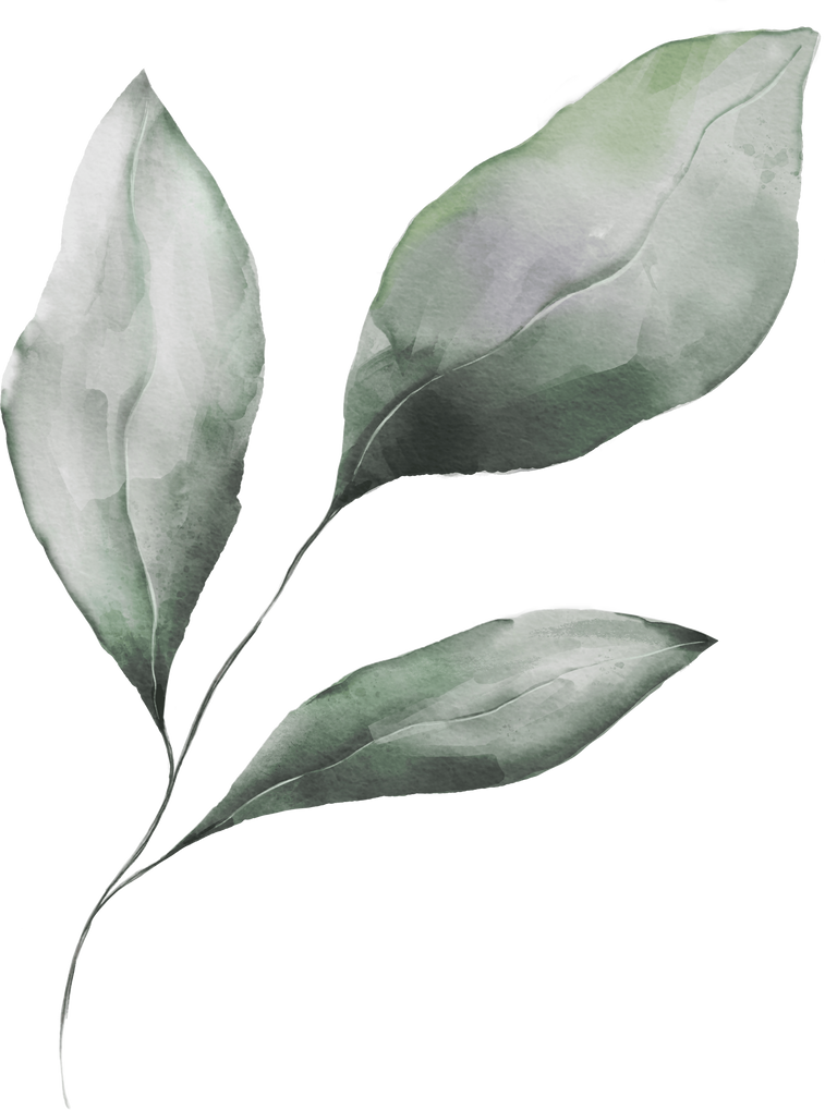 Gentle watercolor leaf